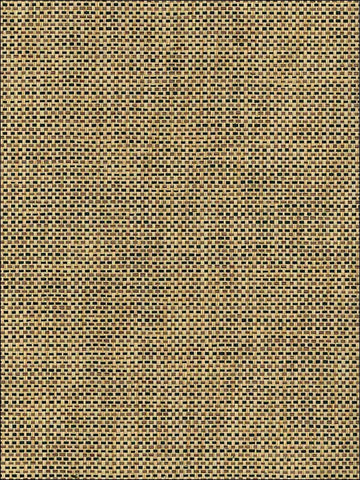 NR200X Natural Resource Paperweave Wallpaper