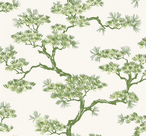 NS50004 Floral Textured Natural Silhouettes Wallpaper