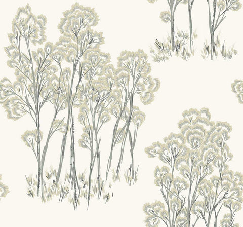 NS50706 Floral Natural Silhouettes Wallpaper