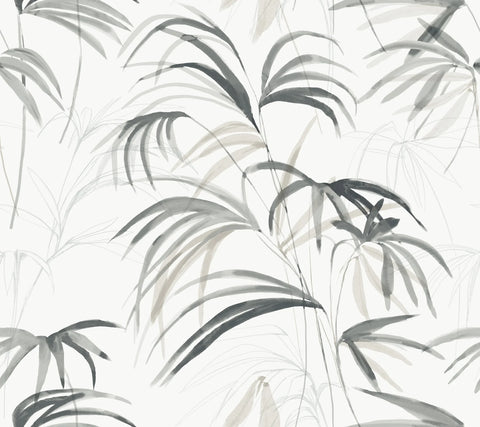 NT6123 Inky Palms Black Wallpaper