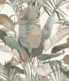 NT6131 Tropical Cabana White Wallpaper