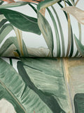 NT6134 Tropical Cabana Spa Wallpaper