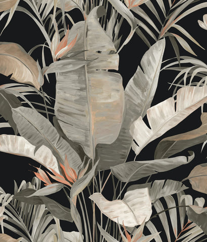 NT6135 Tropical Cabana Black Wallpaper 