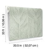 NT6141 Dicot Spa Leaf Wallpaper