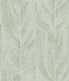 NT6141 Dicot Spa Leaf Wallpaper