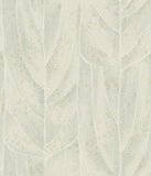 NT6142 Dicot Spa Leaf Light Green Wallpaper