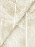 NT6144 Dicot Spa Leaf Beige Wallpaper