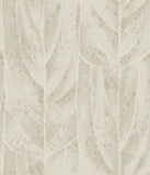 NT6144 Dicot Spa Leaf Beige Wallpaper