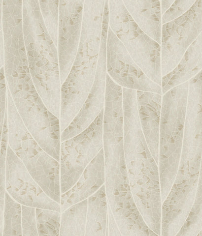 NT6144 Dicot Spa Leaf Beige Wallpaper