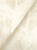 NT6145 Dicot Spa Leaf Pearl Wallpaper