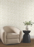 NT6172 Dreamland Oyster Wallpaper