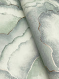 NT6181 Abalone Fans Seaglass Wallpaper