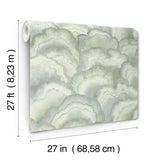 NT6181 Abalone Fans Seaglass Wallpaper