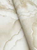 NT6182 Abalone Fans Sand Wallpaper