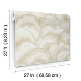 NT6182 Abalone Fans Sand Wallpaper