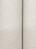 NT6195 Fine Line Geometric Taupe Wallpaper