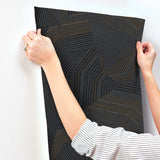 OI0614 Dotted Maze Black Wallpaper