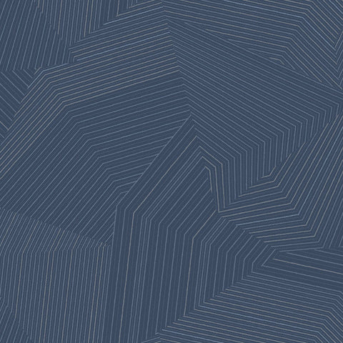 OI0616 Dotted Maze Navy Wallpaper