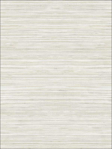 OY35014 Metallic Grasscloth Look Textured Wallpaper