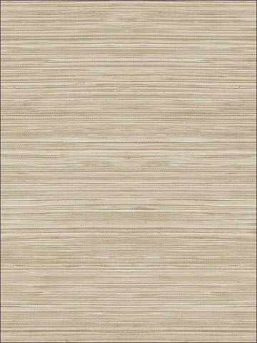 OY35016 Metallic Grasscloth Look Textured Wallpaper