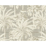 PS40006 Dream Of Palm Trees Grey Texture Wallpaper