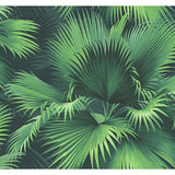 PS40104 Endless Summer Dark Green Palm Wallpaper