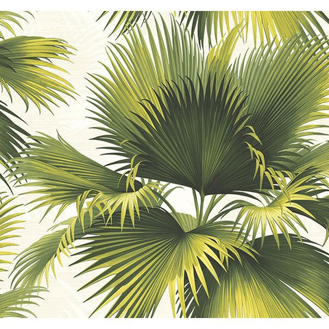 PS40114 Endless Summer Green Palm Wallpaper