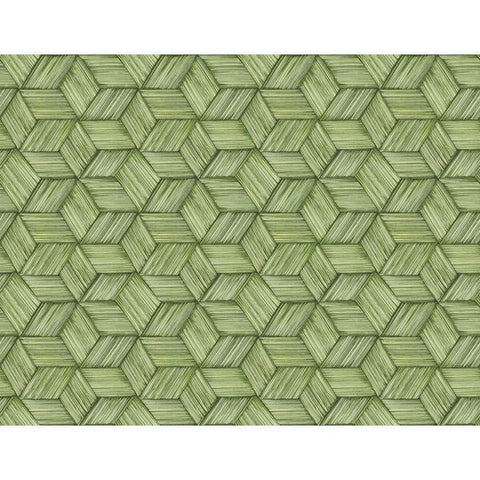 PS41414 Intertwined Green Geometric Wallpaper
