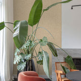 PW1113 Textile Plain Beige Wallpaper