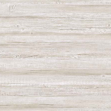 QX60615 Oak Wood Birch Wallpaper
