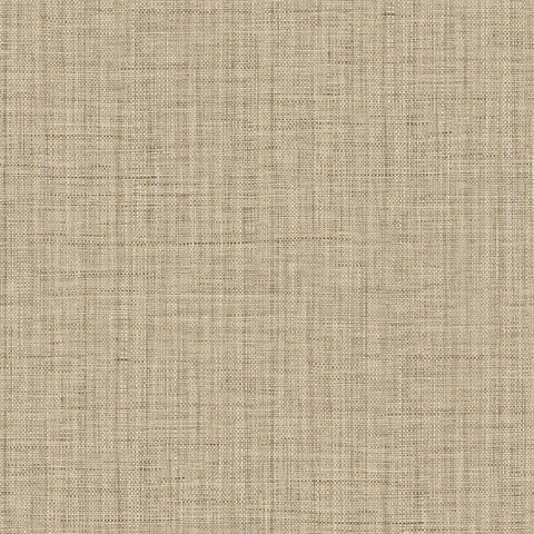 RA45134 Harvest Twine Tan Wallpaper
