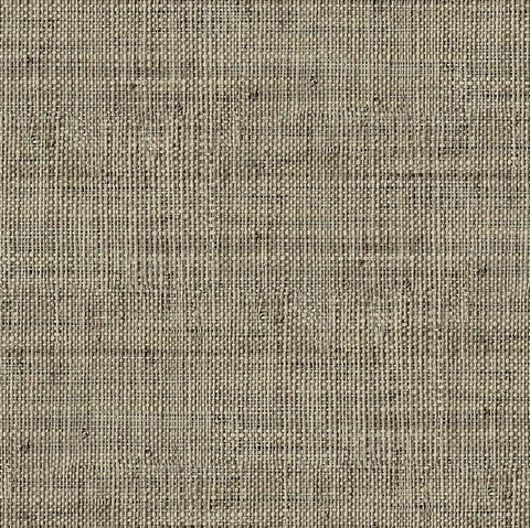 RA45316 Wild Bind Toasted Wallpaper