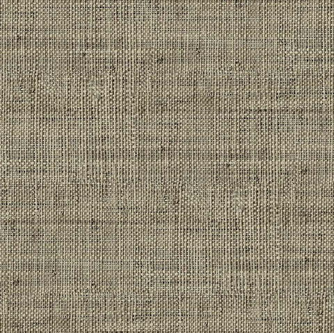 RA45316 Wild Bind Toasted Wallpaper 