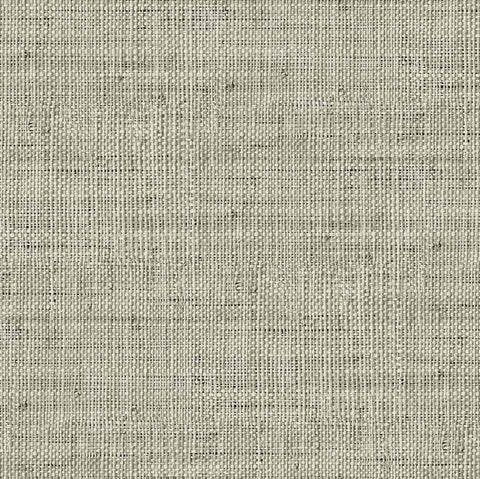 RA45317 Wild Bind Storm Cloud Wallpaper