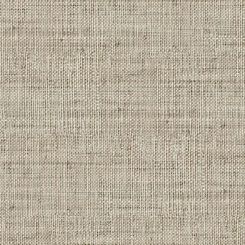 RA45350 Wild Bind Latte Wallpaper