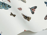RF7411 Butterfly House White Wallpaper