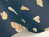 RF7415 Butterfly House Navy Wallpaper