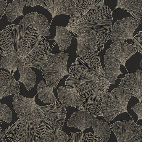 RH462234 Waft Black Ginkgo Wallpaper