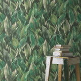 RH537345 Maclayi Green Banana Leaf Wallpaper