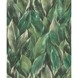 RH537345 Maclayi Green Banana Leaf Wallpaper