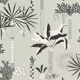 RH540048 Sanjay Grey Tropical Grove Wallpaper