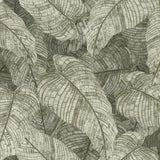RH720549 Galner Moss Leaves Wallpaper