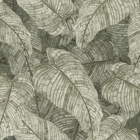 RH720549 Galner Moss Leaves Wallpaper