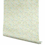 RI5127 Tapestry Pastel Multi Wallpaper Rifle Paper Co.
