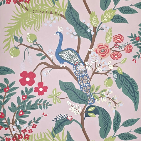RI5169 Pink red blue green Tropical tree branches leaves flowers peacock bird Wallpaper