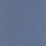 RI5184 Palette Blue Grasscloth Wallpaper Rifle Paper Co.