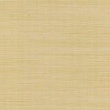RI5185 Palette Gold Grasscloth Wallpaper Rifle Paper Co. 