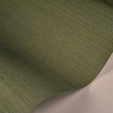 RI5186 Palette Sage Grasscloth Wallpaper Rifle Paper Co.