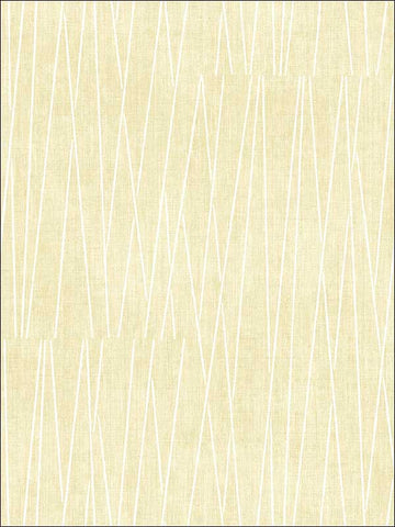 RL60115 Gidget Lines Wallpaper