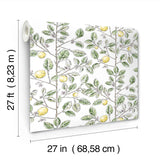 RT7911 Limoncello Toile Green Wallpaper